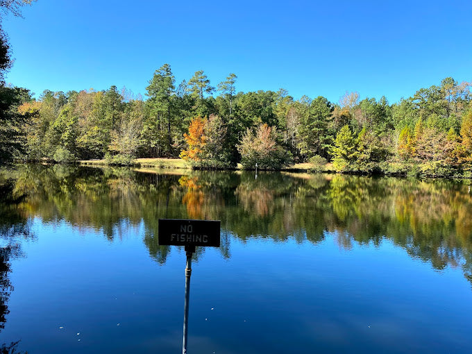 Exploring Nature's Classroom: Discovering Clemmons Educational State F ...