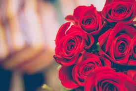 A Woman Holding A Bouquet Of Beautiful Red Roses Outside A Local Clayton Florist