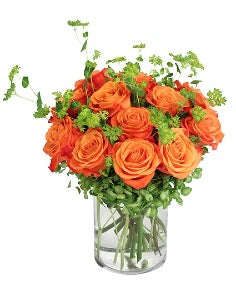 Tangerine Timeless Roses – Clayton Florist: The Florist At Plantation