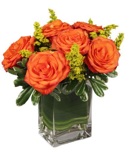 Orange and Gold Roses - Clayton Florist: The Florist At Plantation