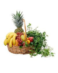 Fruits & Plants