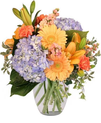 Filled With Delight - Clayton Florist: The Florist At Plantation