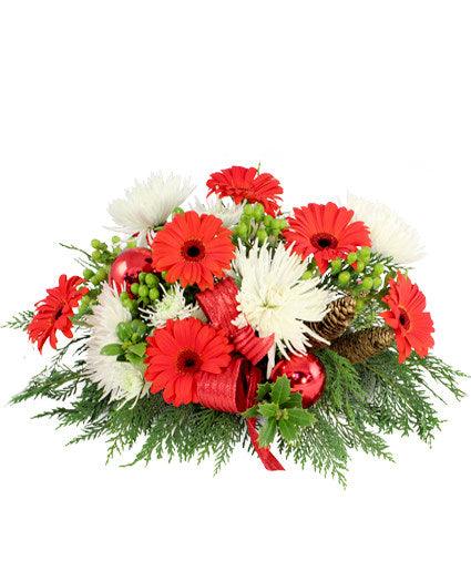 All I want for Christmas - Clayton Florist: The Florist At Plantation