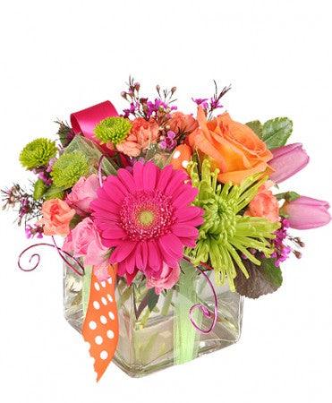 Happy Thoughts - Clayton Florist: The Florist At Plantation
