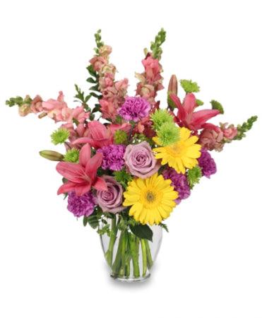 Today's Special: Assorted Flowers - Clayton Florist: The Florist At Plantation