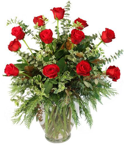 Joys of the Holiday Christmas Roses - Clayton Florist: The Florist At Plantation