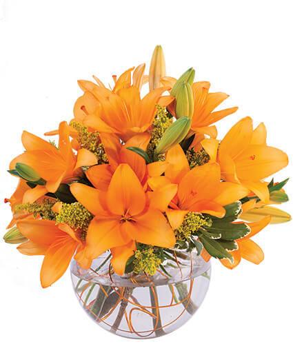 Orange Lily Sorbet - Clayton Florist: The Florist At Plantation