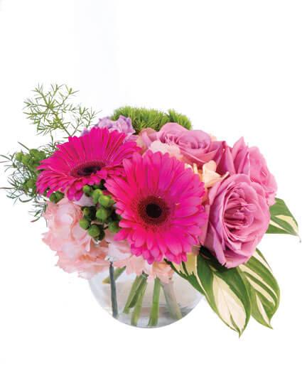 Pink Amore - Clayton Florist: The Florist At Plantation
