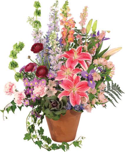 Radiant Variety - Clayton Florist: The Florist At Plantation