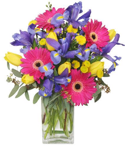 Spring Smiles - Clayton Florist: The Florist At Plantation