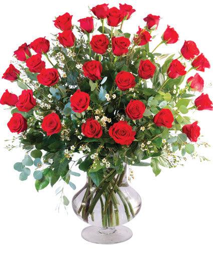 36 Red Roses - Clayton Florist: The Florist At Plantation
