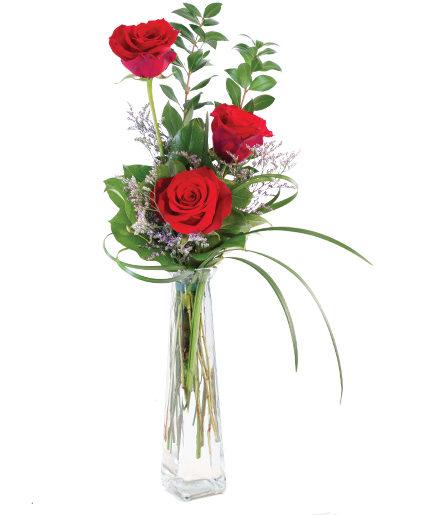 Three Fiery Roses - Clayton Florist: The Florist At Plantation