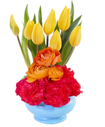 Tulip Sunrise - Clayton Florist: The Florist At Plantation