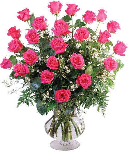 24 Radiant Pink Roses - Clayton Florist: The Florist At Plantation