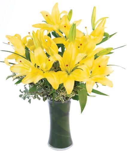 Yellow Lilies - Clayton Florist: The Florist At Plantation